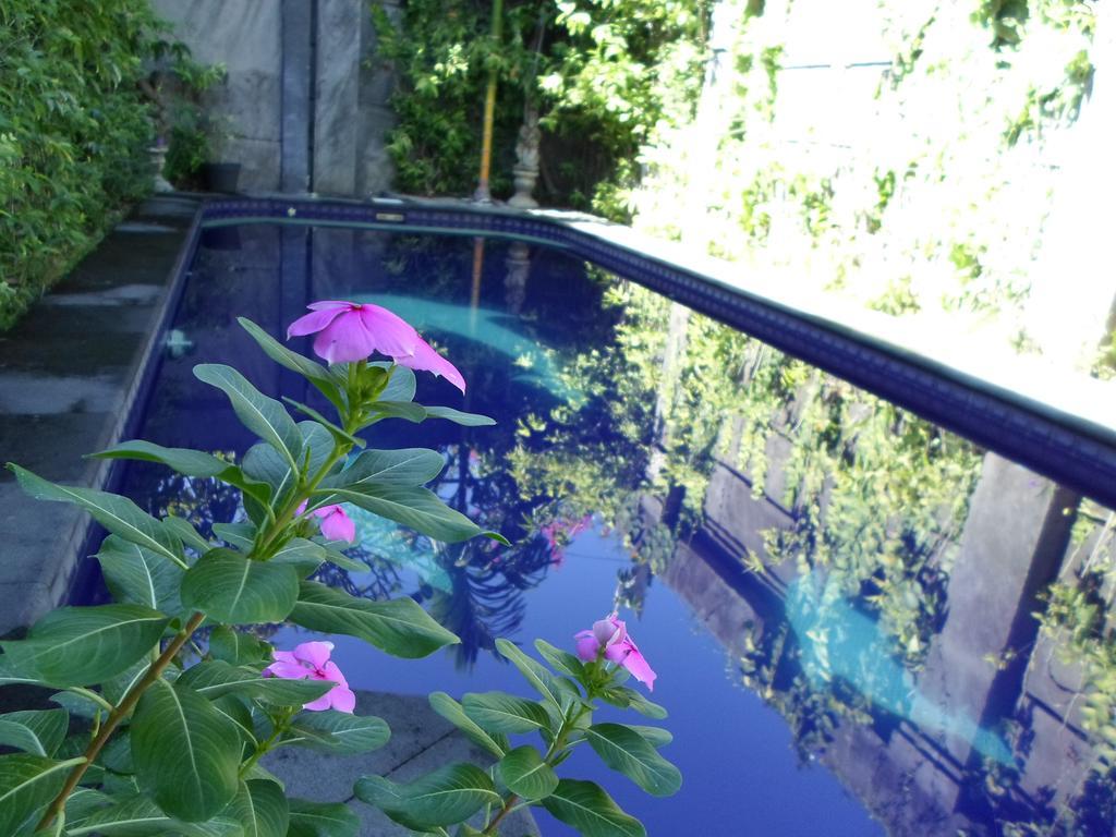 Bali Aman Darling House Hotel Canggu Exterior foto
