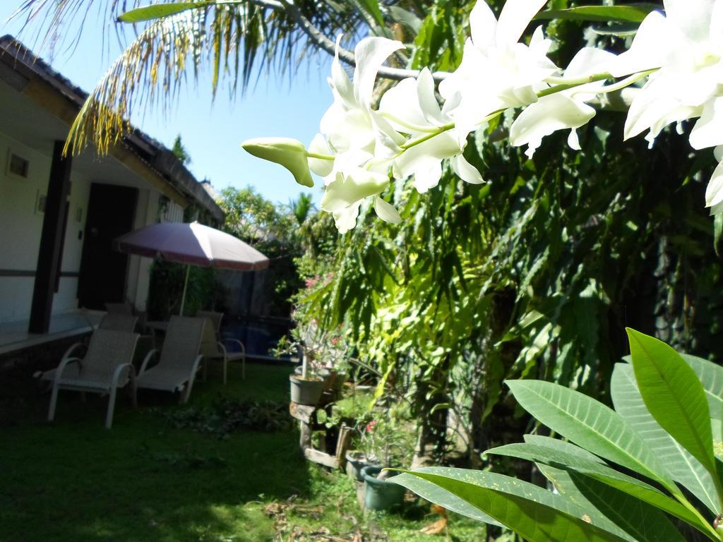 Bali Aman Darling House Hotel Canggu Exterior foto